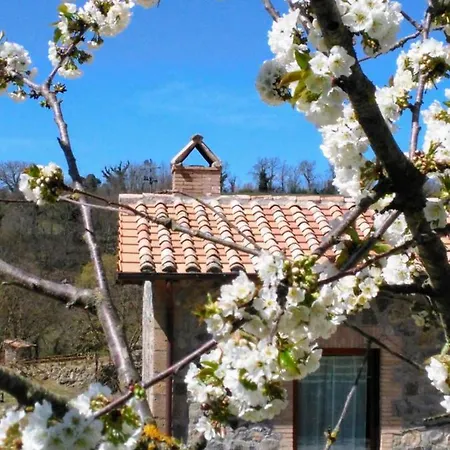 Il Gallinaccio Apartment Orvieto